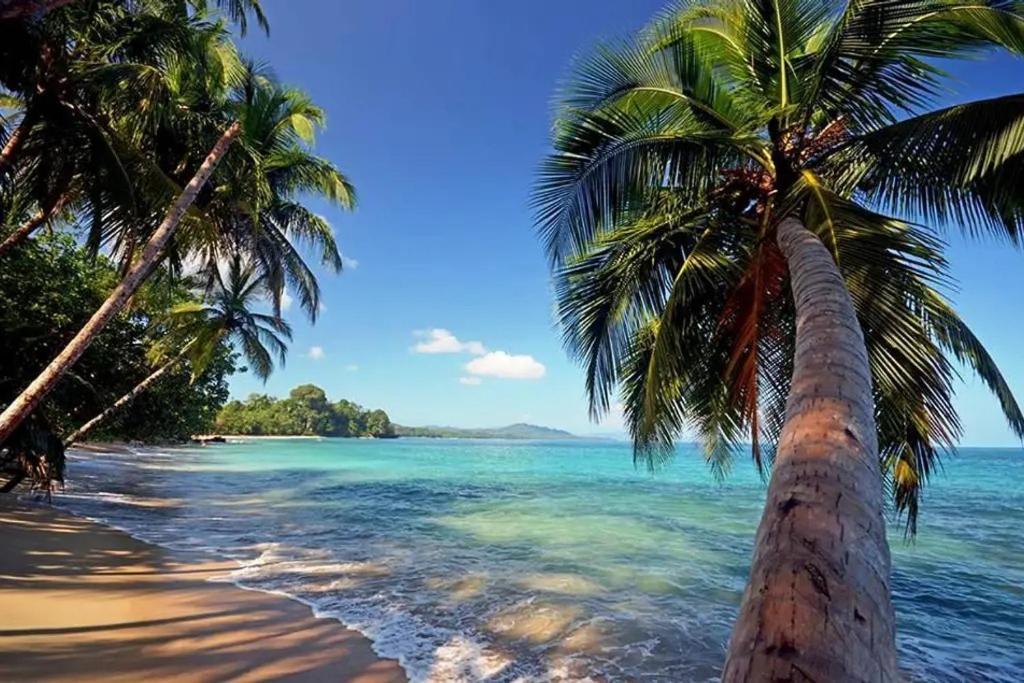 Aparthotel Roca Mar Rocawelch Puerto Viejo Puerto Viejo de Talamanca Exteriér fotografie